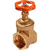 van cua cam 100