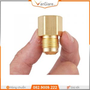 cut-noi-ong-dong-ren-trong