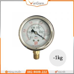 Đồng hồ áp suất Pro Instrument P300-LA chân đứng 17 dong-ho-ap-suat-kiem-dinh-gia-re-dai-loan-o-tphcm