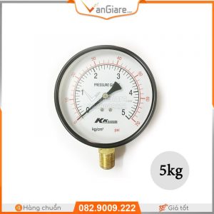 dong-ho-do-ap-suat-thuy-luc-250kg-250bar-3500-psi-kk-gauge-re