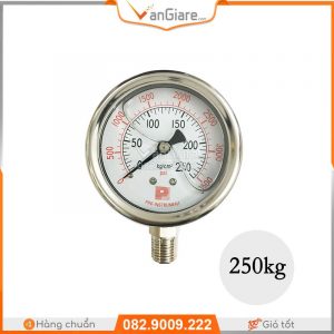 Đồng hồ áp suất Pro Instrument P300-LA chân đứng 12 dong-ho-thuy-luc-250kg-co-dau-dai-loan-gia-re-o-tphcm