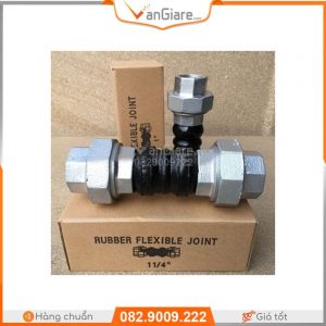 Chống rung rắc co gang ren Đài Loan 13 khop-noi-armflex-Rubber-Pipe-Expansion-Joints-thread-Double-Sphere