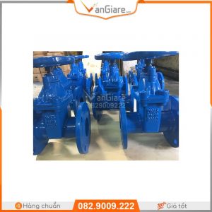 Van cổng ty chìm nắp chụp tay quay PN16 Malaysia 13 mua-ban-van-cua-ty-chim-pn16-o-dau-tphcm