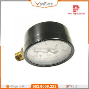 pressure-gauge-p100-pro-instrument