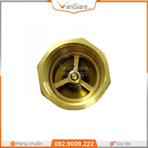 Van nước 1 chiều lò xo đồng Đài Loan 11 van 1 chieu cho may bom nuoc 21 27 34