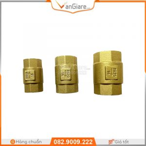 Van nước 1 chiều lò xo đồng Đài Loan 7 van 1 chieu lo xo dai loan 21 27 34