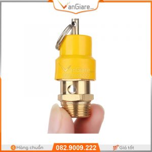 Van an toàn máy nén khí nắp nhựa 9 van-an-toan-may-nen-khi