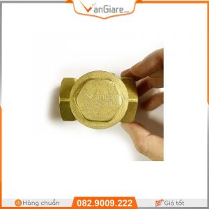 Van 1 chiều lá lật đồng thau Fusan 25 van-nuoc-1-chieu-dong-thau-fusan-dai-loan