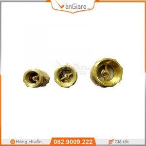 Van nước 1 chiều lò xo đồng Đài Loan 8 van nuoc 1 chieu lo xo dai loan gia re
