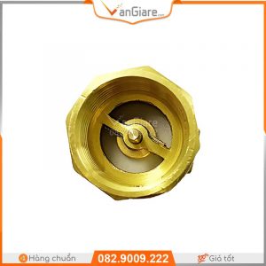 Van nước 1 chiều lò xo đồng Đài Loan 9 van nuoc 1 chieu may bom nuoc dai loan